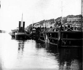 'Flying Fox' at Queenstown Quay, County Cork