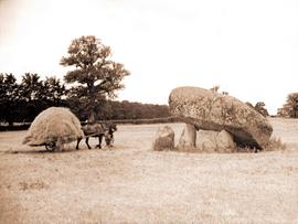 Hay Harvesting, County Carlow