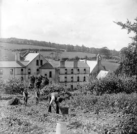 Fields around Rochestown Friary, County Cork