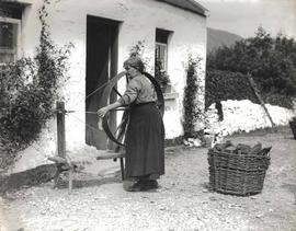 Spinner at Leenane, Connemara, County Galway