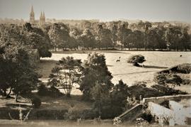 The Spires of Saint Fin Barre's Cathedral from Sunday's Well, Cork