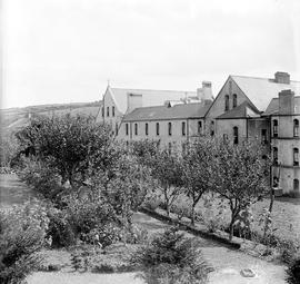 Orchard at the rear of Rochestown Friary