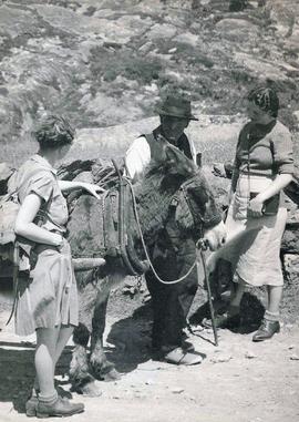 Glengarriff, Beara Peninsula, County Cork