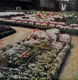 The Grave of Michael Collins in Glasnevin Cemetery