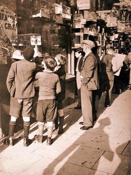 Pet Shops, Belfast